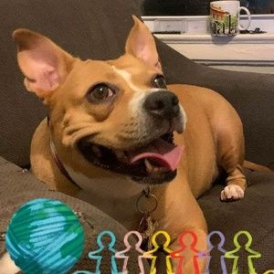 Meet your Posher, Joseph